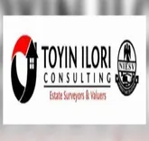 ToyinIlori Consulting