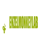 Enzelmonkey Lab | Website Design & Development Company