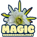 Magic Mushrooms Delivery