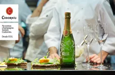 Cavas Codorniu Elaboración de Cava y Vinos -Sant Sadurní d'Anoia (Barcelona)