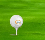 Công Ty CP Đầu Tư & Kinh Doanh Golf Long Thành