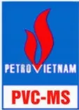 CÔNG TY CỔ PHẦN KẾT CẤU KIM LOẠI VÀ LẮP MÁY  DẦU KHÍ  VIỆT NAM