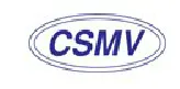 CÔNG TY CỔ PHẦN KIM LOẠI CSGT VIỆT NAM