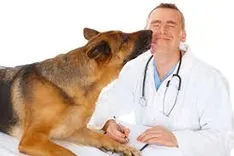 Bác Sĩ Thú Y PKdogcare