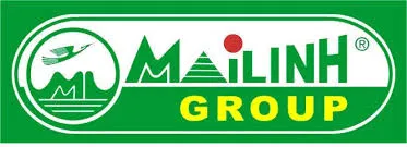 MAI LINH GROUP