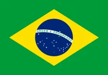 BiZiDEX Brazil - Online Advertising Services