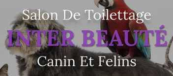 Salon De Toilettage Inter Beauté Canin Et Felins