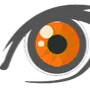Best Houston SEO Company in Texas