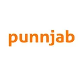 Punnjab Phulkari