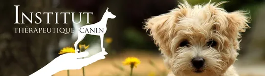 Institut Thérapeutique Canin