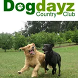 Dogdayz Country Clubs