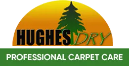 Hughes Dry Professional Carpet Care