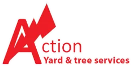 Action Yard and Tree Service Tucson AZ | Landscape Company