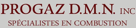PROGAZ D.M.N. INC.