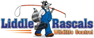 Liddle Rascals Wildlife Control