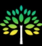 Black Forest Tree Service