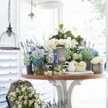 Hamptons Style