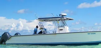 Island Boat Tours & Adventures
