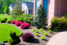 Hub City Landscaping