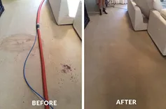 Professional Carpet Cleaning Gold Coast