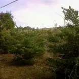 4 Seasons Lawn Maintenance