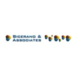 Bicerano & Associates Consulting