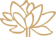 Lotus Health Chinese Medicine Treatment Centre