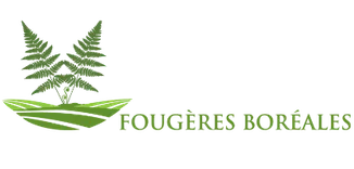 Les Fougères Boréales