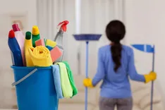 Clean Pillar Maid Services
