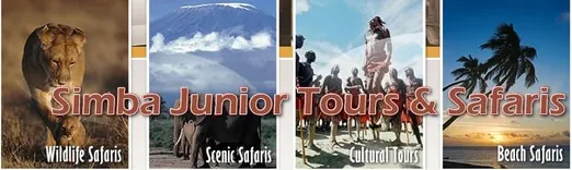 Simba junior Tours and Safaris