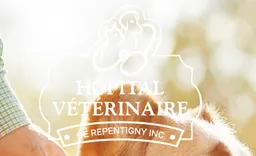 HÔPITAL VÉTÉRINAIRE DE REPENTIGNY