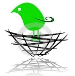 Birdnest Interiors