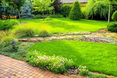 Evergreen Lawn Care of Brevard