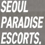Seoul Paradise Escort