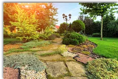 Aaron's Tree & Landscaping Services