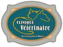 CLINIQUE VÉTÉRINAIRE DE LANAUDIÈRE-NORD