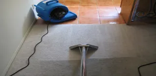 Carpet Cleaning Peppermint Grove