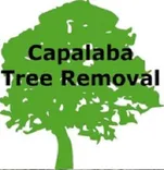 Capalaba Tree Removal