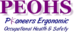 Pioneer Ergonomic - Occupational Health & Safety