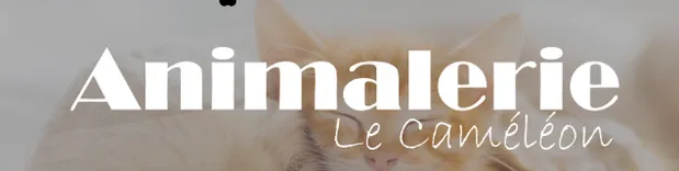 ANIMALERIE LE CAMÉLÉON 