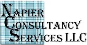 Napier Consulting Services