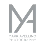 Mark Avellino