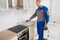 Pest Control Services
