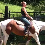 The Riding Stable LLC