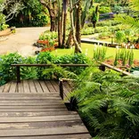 Independence Nursery & Water Gardens