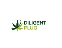 Digital plug