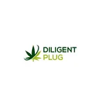 Digital plug