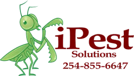 ipestprose