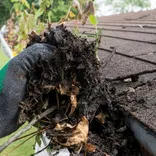 Joseph Lawncare