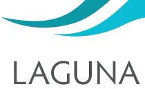 Laguna Shores Recovery
